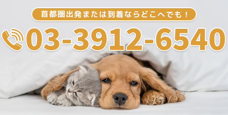 【電話番号】03-3912-6540	【定休日】年中無休 【営業時間】24時間営業