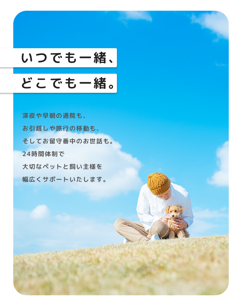 いつでも一緒、どこでも一緒。深夜や早朝の通院も、お引越しや旅行の移動も、そしてお留守番中のお世話も。24時間体制で大切なペットと飼い主様を幅広くサポートいたします。