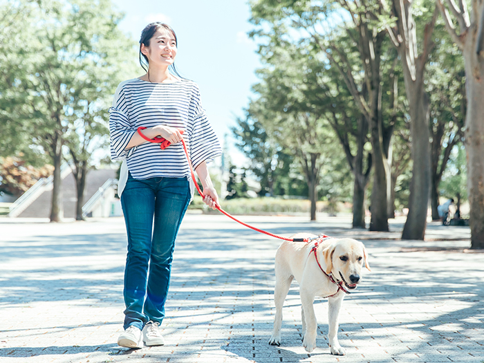 大切なペットに寄り添うお世話