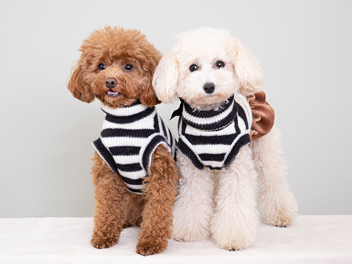 らく～ん～パック